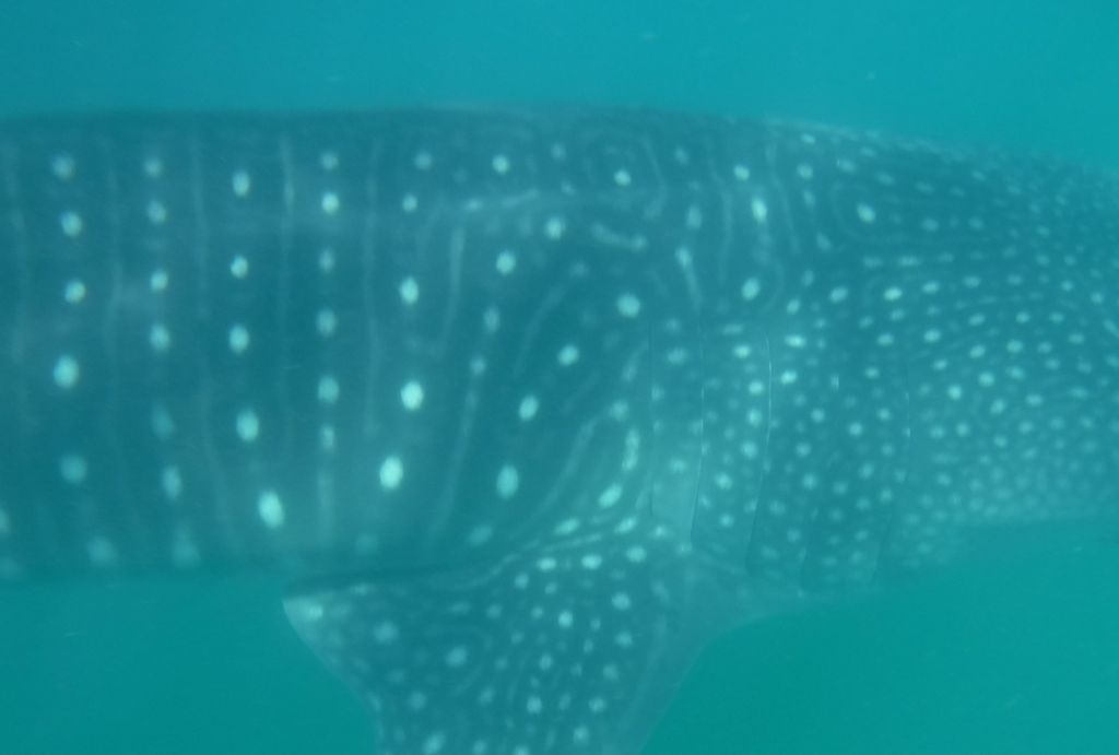 886b2395-9ccc-427e-bc34-c56250544468