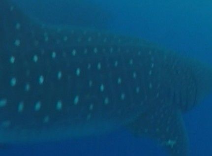 a0e2961a-76ba-4a87-bc8b-6435d3f5cc15