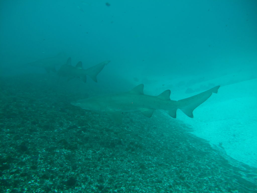 05d2ede7-9bfd-4e29-a78d-6eb99dd6a658