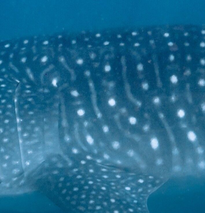 280187d0-b3d4-4e98-b150-04fc6e930ef8