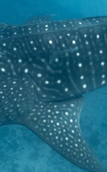 0ccce7fd-4571-47e7-abdb-0e42e47d997a