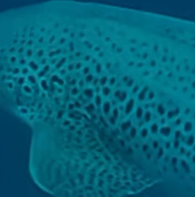 ff5626d1-e447-4079-b67e-e1a7fc8ad645