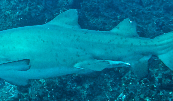 edb525ee-179b-457b-b504-891236562908