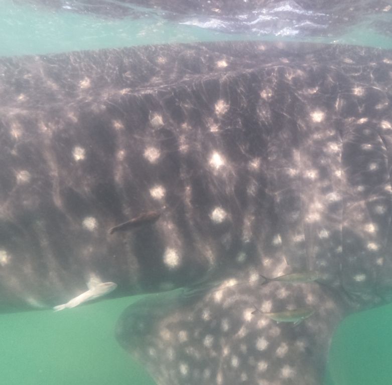 8c4f4ffa-c126-40a1-a258-c5f8ffa785cd