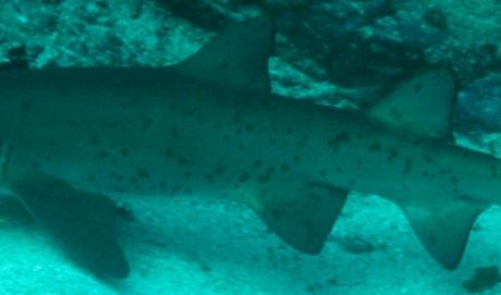 85620729-8b07-4953-8713-a06cc264ff4a