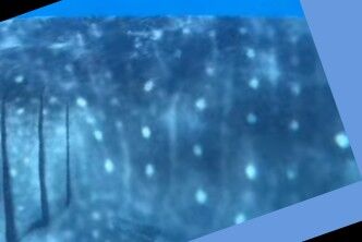 b3e49653-c405-4c48-bb37-f98ee8b7dcff