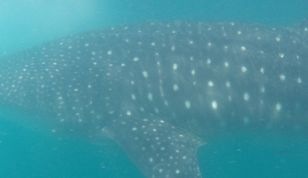 5985d58b-a947-4f32-9d8d-3e4c6a03484c