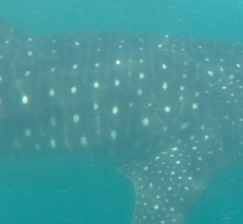 5985d58b-a947-4f32-9d8d-3e4c6a03484c