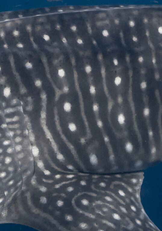 46aeb209-b79c-4843-b8cb-141272ec4aaf