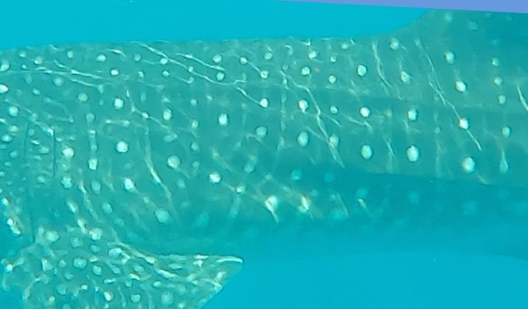 6b8cf216-aaa6-4e13-b59b-acdf007ca323