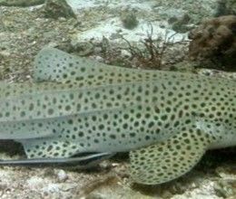 79261a51-8bf8-47f4-bd75-c89aa3828a85