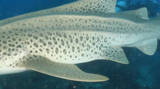 137f606e-4b5f-486a-bd64-57c123569d95