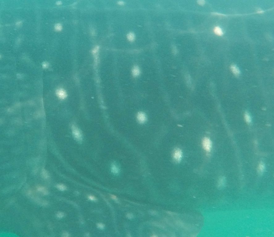 d7edc99f-c29e-498e-9e1f-14fb1878f306