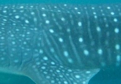 e0f23c64-2dbb-4b53-9abf-eb703e98c0ff