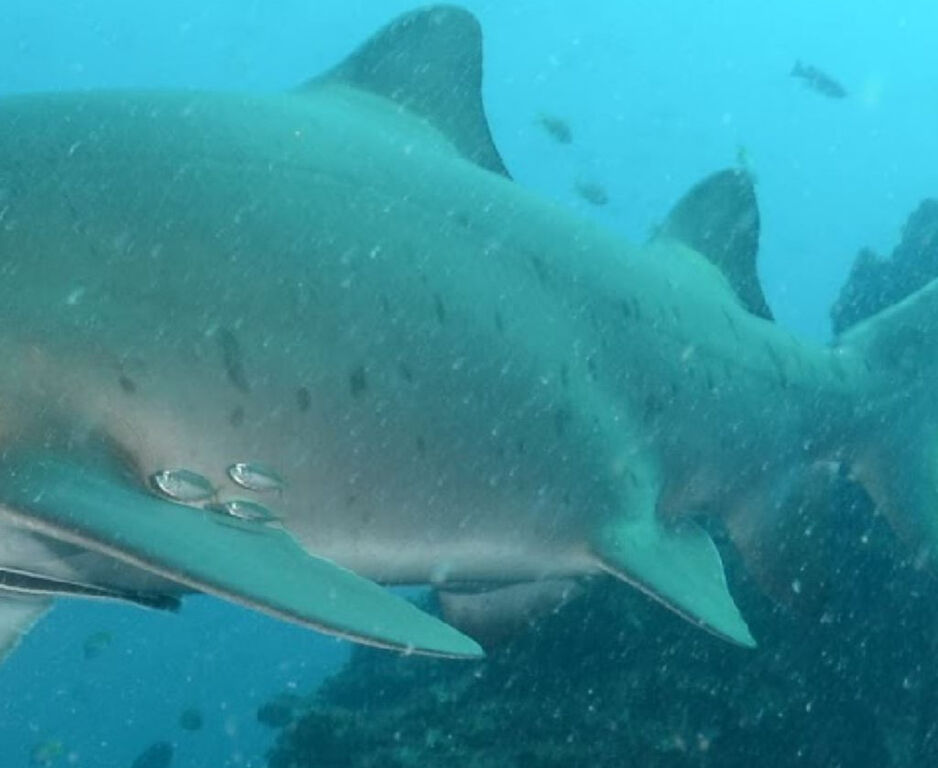 efd215b6-69fb-4d2a-b307-54d47c82d4ac