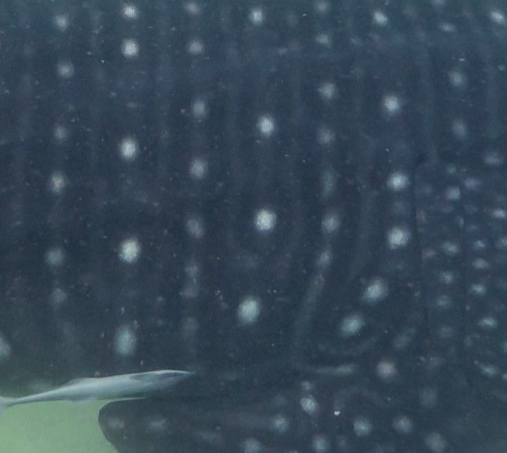 feb02b9d-399b-402b-a8a9-897de41f6e2d