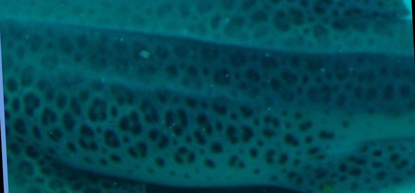 92b3f1b0-b56a-47d0-acfc-ad8577b979ad