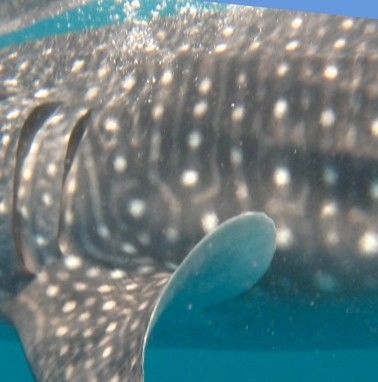 7642ff87-eef6-4421-a625-7a3747cf4a45