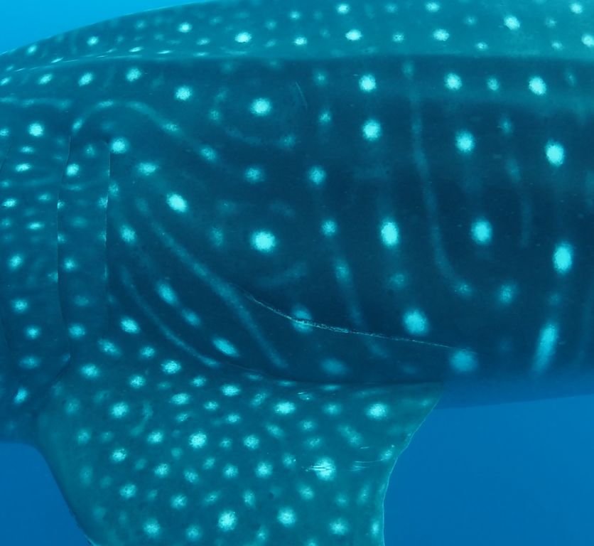 3f81f6f7-45bd-4fc3-bbd3-b090d4162212