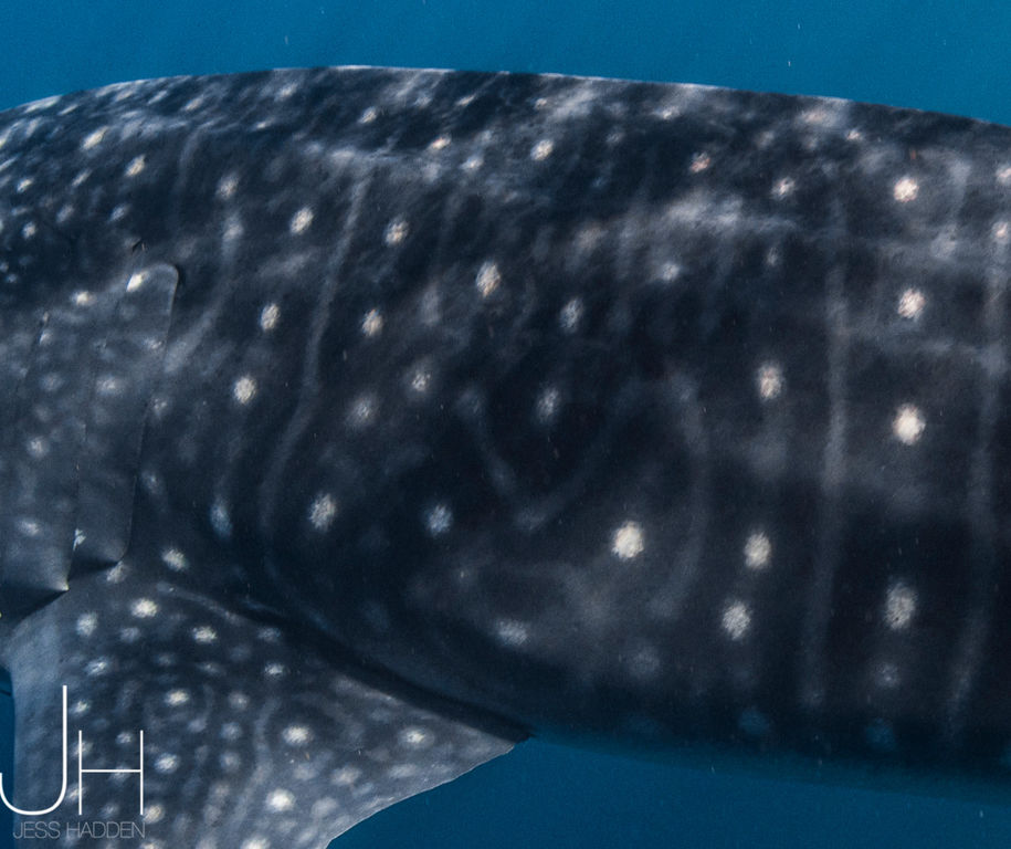 5580f5cd-6ee5-412e-899c-14a55ce3309f