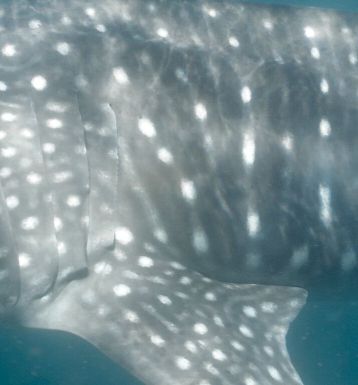 c4e92c13-5d74-458b-8461-7d197081aee2