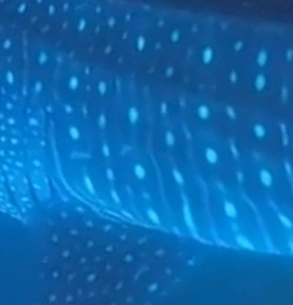 520310de-9132-49c9-93bb-73387ae5f26c