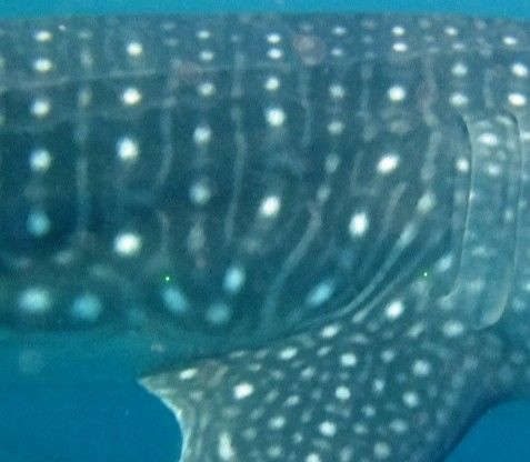 1696b392-0623-4727-a18b-30d450dc15c5