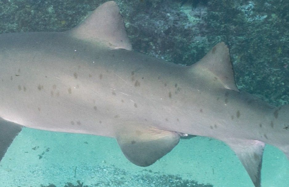 8c7ea2c9-7145-4626-8ead-dd304be0f37b