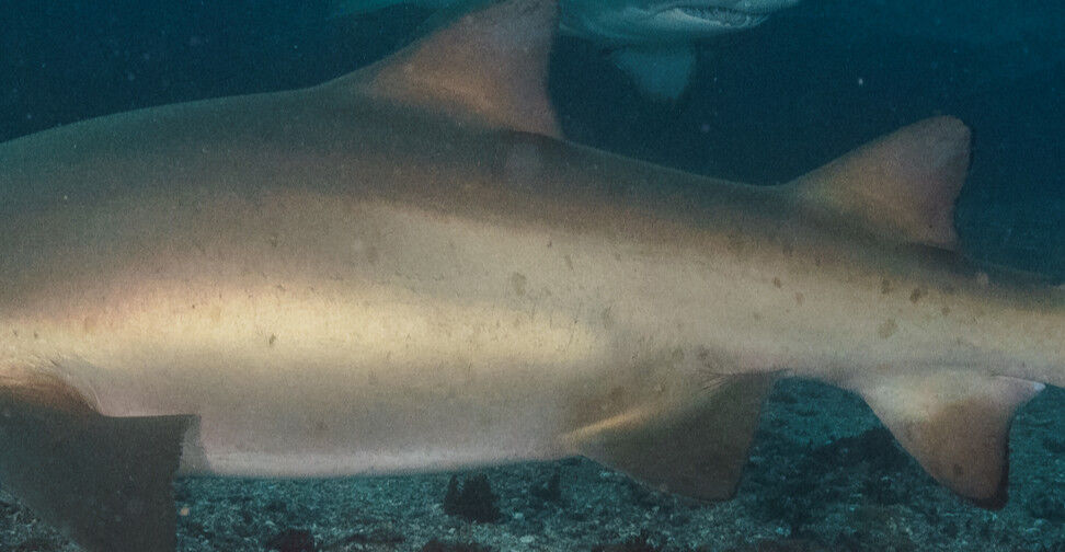 0bd22453-cc15-49ce-98b0-670894707d5f