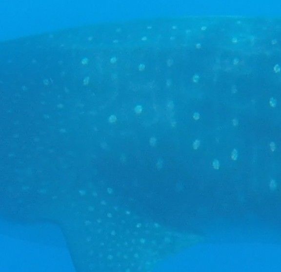 438f577b-929e-40d7-8cf9-5c6b21a8b433