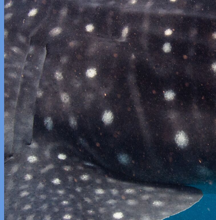 1551a82c-4ceb-4aec-8c0f-d5ee2837cc71