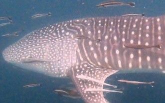 f53f620b-7741-4416-aa8c-f2e469b00a3c