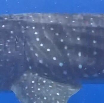 72721ba8-5e70-4818-b68f-400c4d6d679a