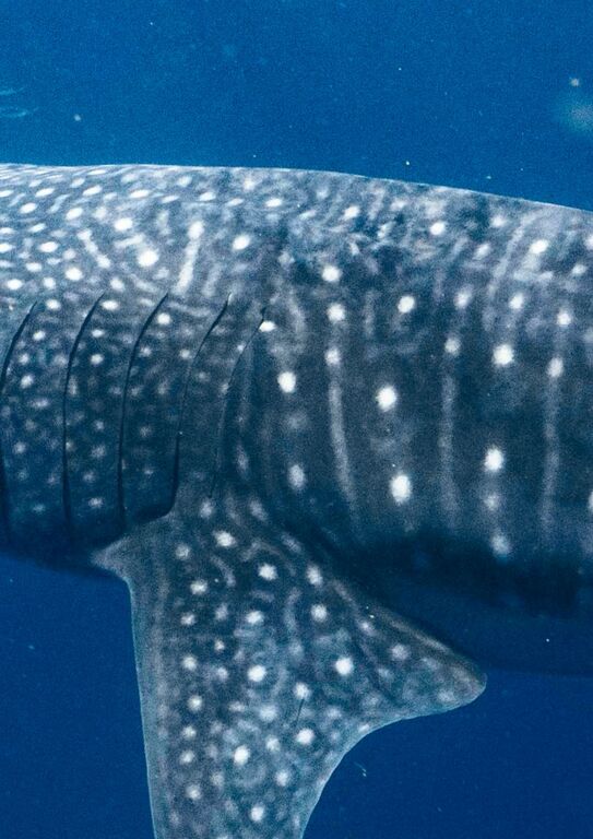 9b79479d-f5a5-4c70-badc-c3bf90b19003