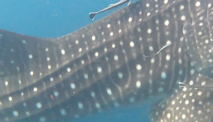 c4e366e8-be9a-4edb-b7af-cb1b6feff7c3