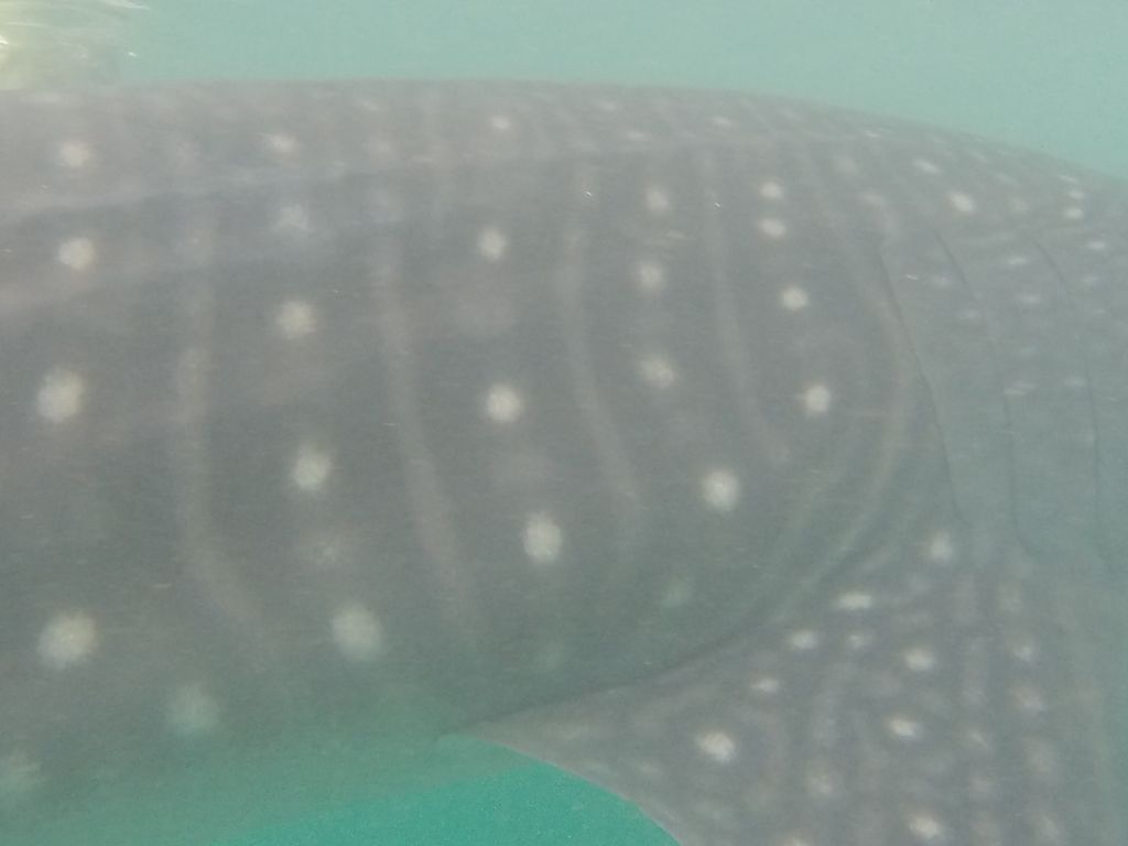 3a8bdfe8-b679-4ed2-9ab2-695dfc625bf9