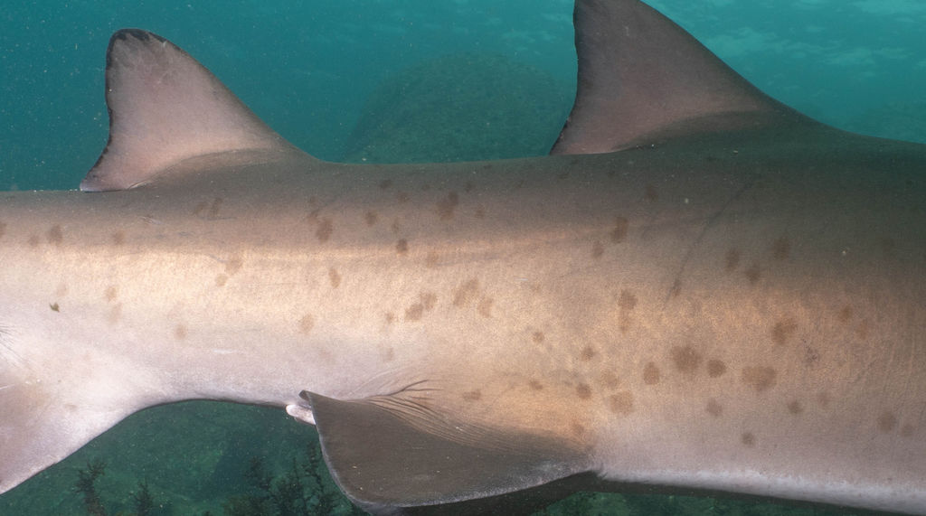 e0425aba-8571-45a3-b667-4157eb78dd32