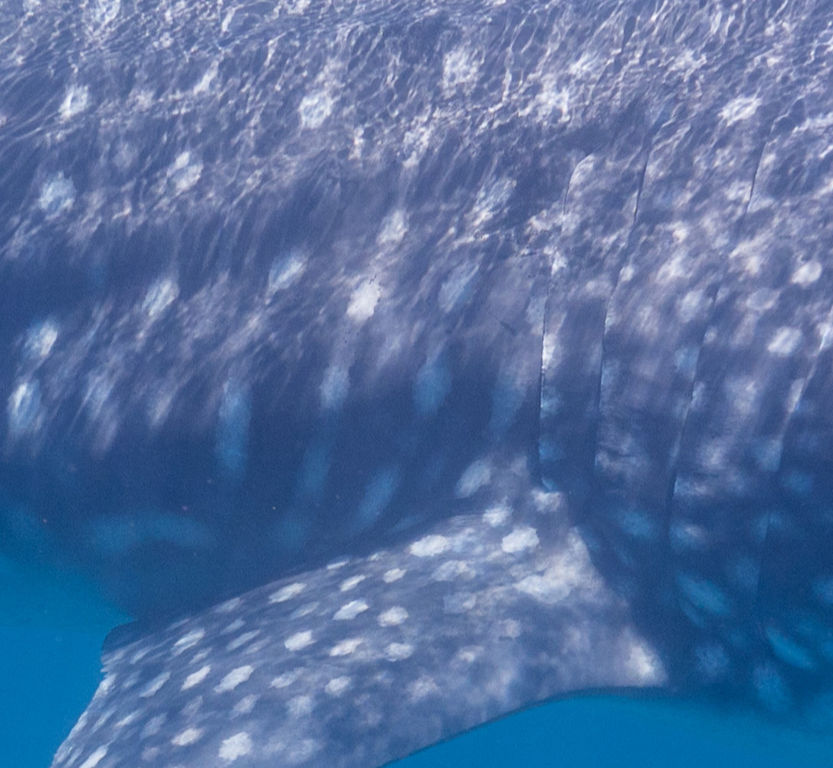 44e56054-1b9e-40d2-88d3-df2a071fb68f