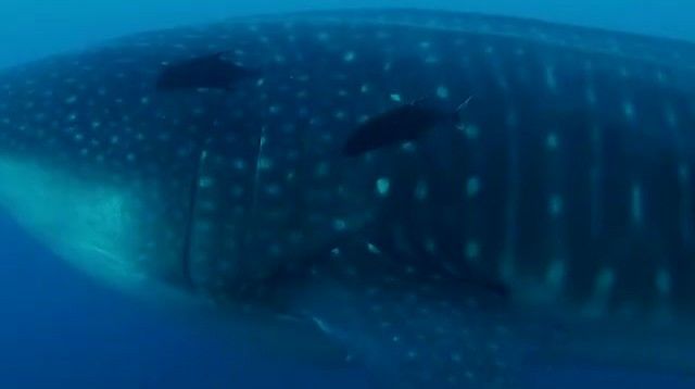 fb4e163e-6236-44a2-b63d-078fcf6925f4