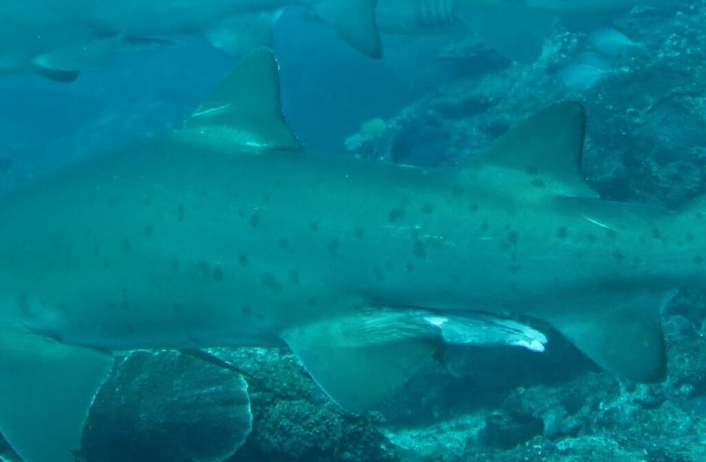 c4ffefaf-4cbb-4d88-9dd4-26b245b21813