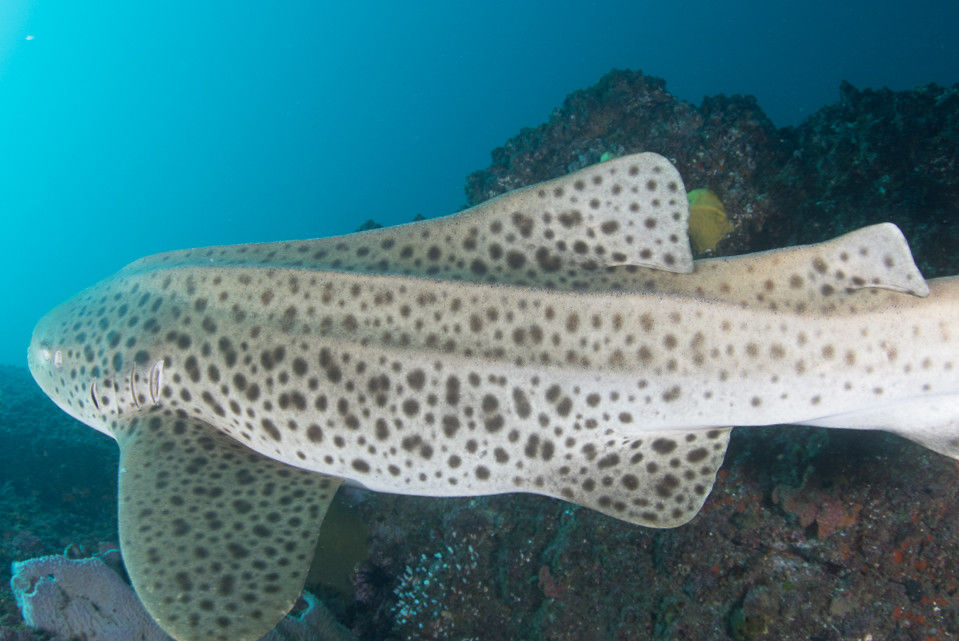 6e9400aa-2cc6-4d17-bf06-813aebbc187b