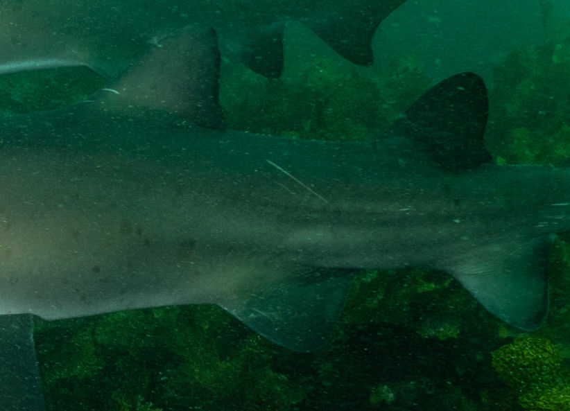 d8cfac16-21fd-4dea-b7cf-90ad1a162959