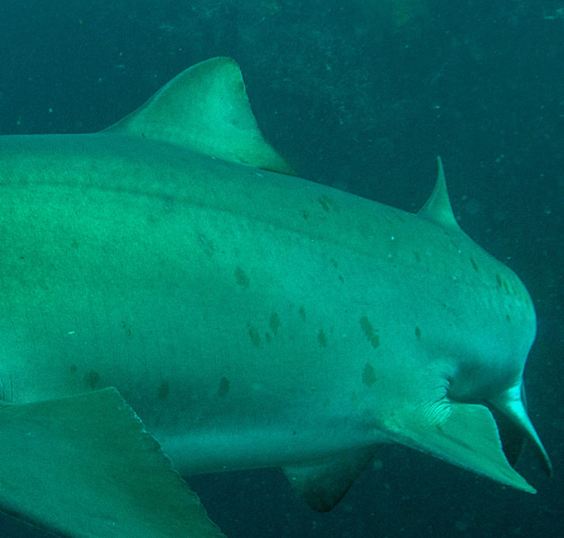 58817f3a-ca3f-4d1e-b7d8-8dc2eaf80cfc