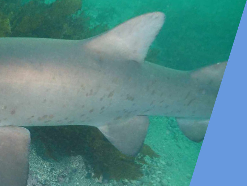 4ed9b274-eb64-4805-b8fe-ad217e52c9c5