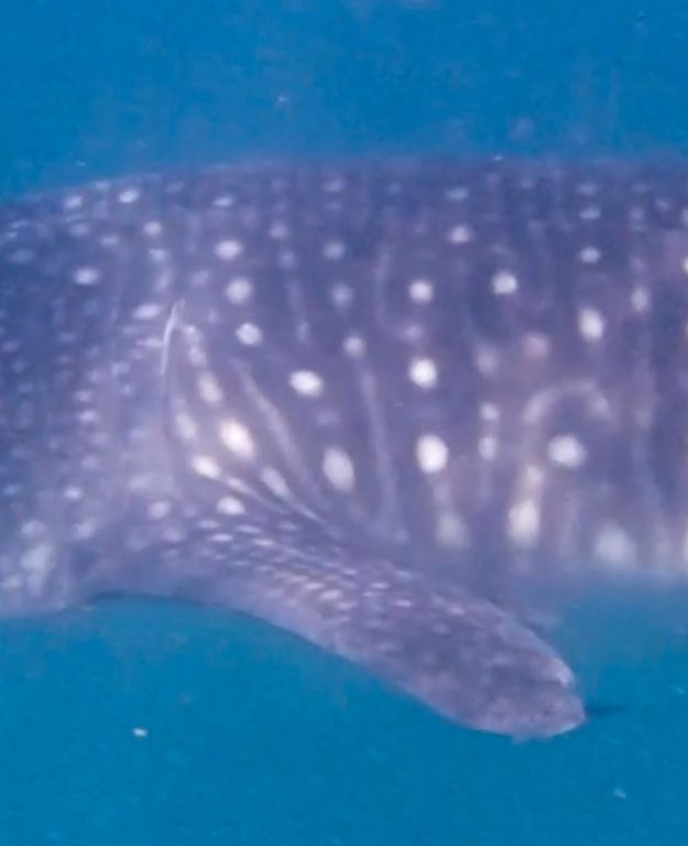 abfaad5c-3fe7-4498-8587-b00a1a3eb6f8