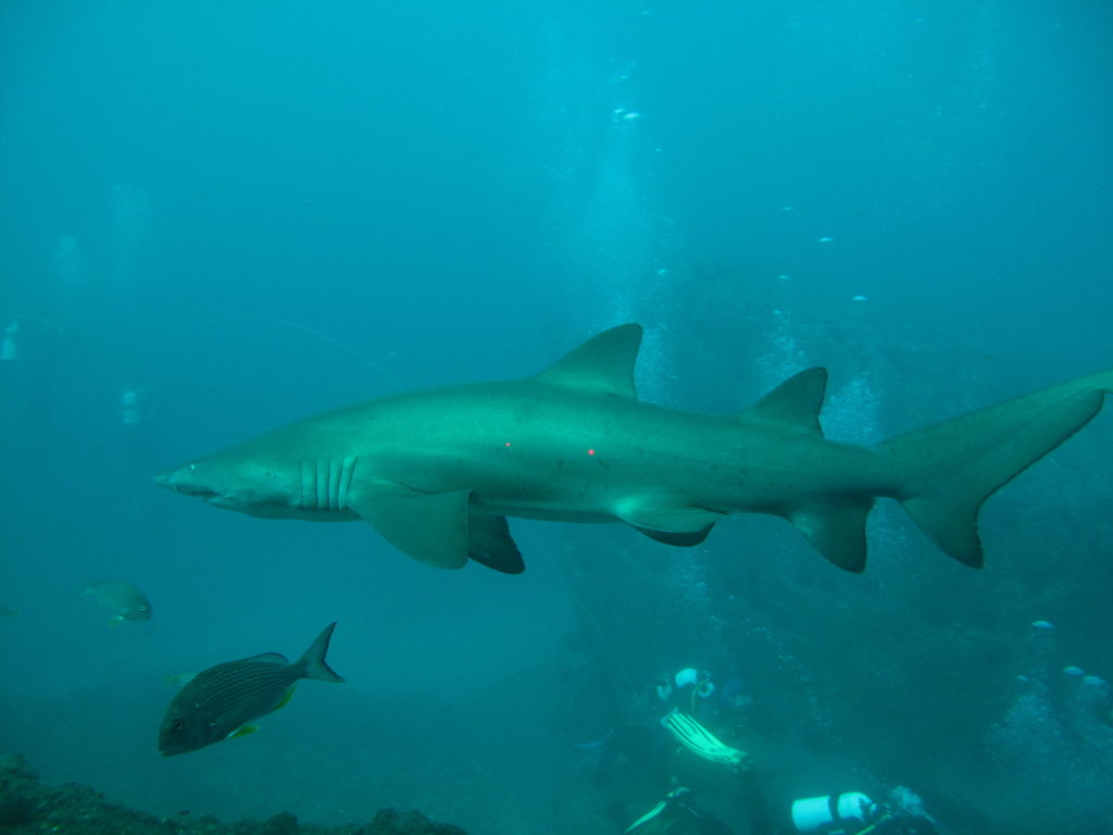 b8d88ff7-9c46-4a93-8f50-0ce026a30d2d