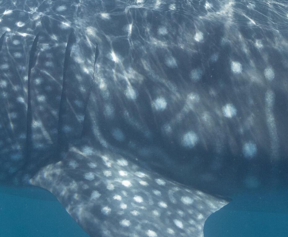 e1b6dda2-5dc2-46dc-9a6c-2a2d3001b7e3