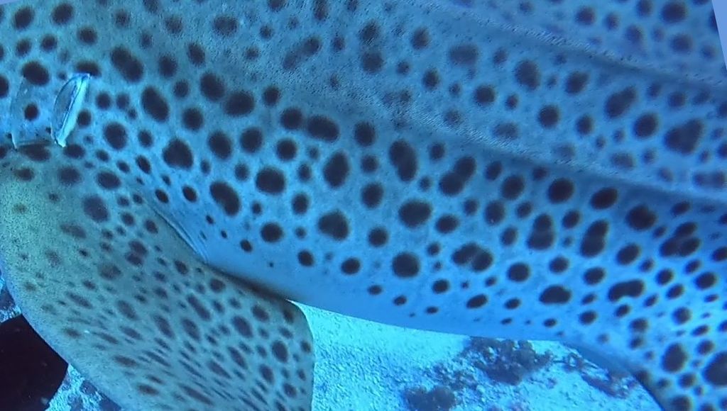 3a10c49e-ddc6-4ef6-b662-45e9771eec97