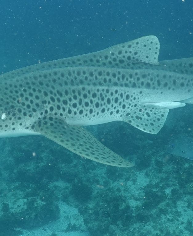 6da96ec4-1b5a-427a-a643-9028f7737e40