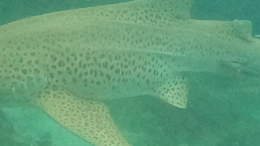 9f80584e-b1ed-4b3f-928f-06d71e41b4ca